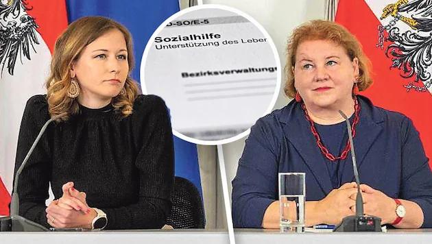 (Bild: Krone KREATIV/SEPA.Media/Michael Indra, Wolfgang Spitzbart)