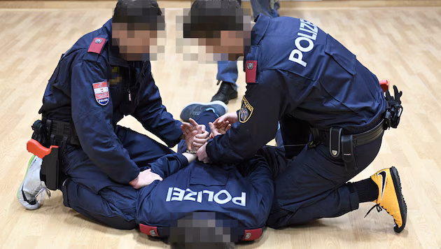 APA HANS PUNZ, Krone KREATIV (Symbolbild))