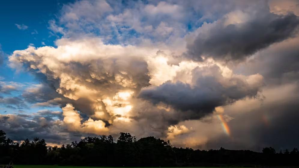 IMAGO/Zoonar (Symbolbild)