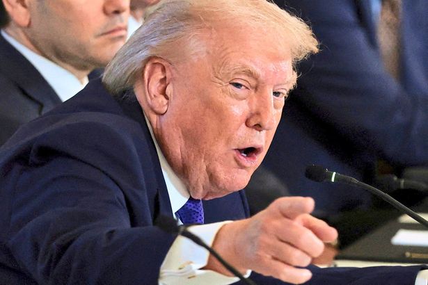 REUTERS/Evelyn Hockstein