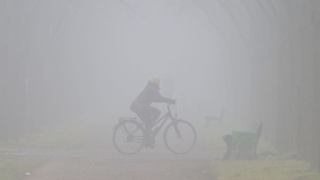 ©APA/dpa/Peter Steffen