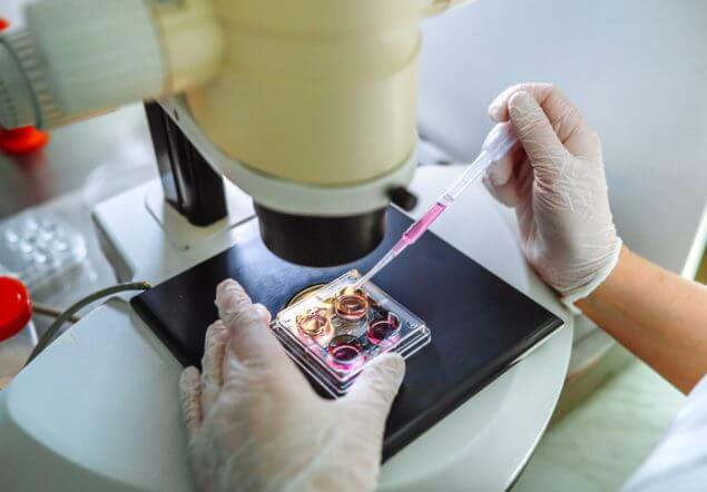 GETTYIMAGES/Natalia Lebedinskaia