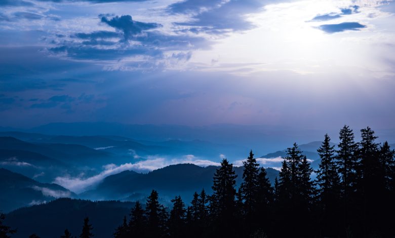 النمسا الان الاخبارية