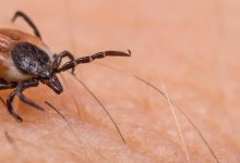 AdobeStock/Ladislav Kubes