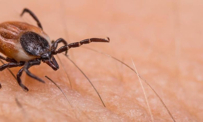 AdobeStock/Ladislav Kubes