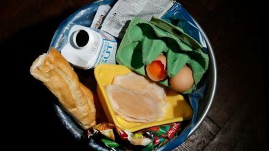 GEORG HOCHMUTH / APA / picturedesk.com