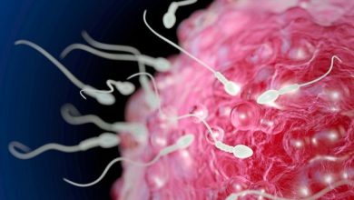 Lars Neumann - stock.adobe.com