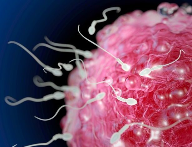 Lars Neumann - stock.adobe.com