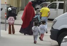 Willfried Gredler-Oxenbauer / picturedesk.com (Symbolbild)