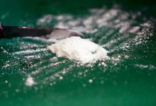 APA/dpa/Marcus Brandt