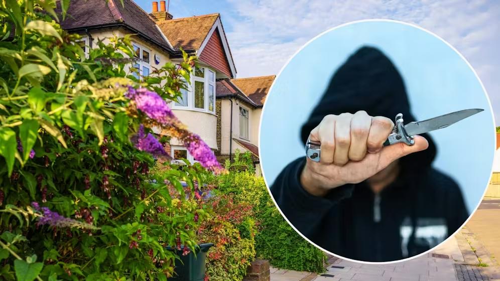 iStock (Symbolbilder)