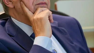 فن ومدن