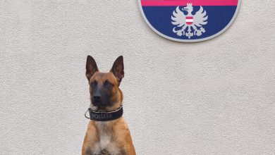 LPD