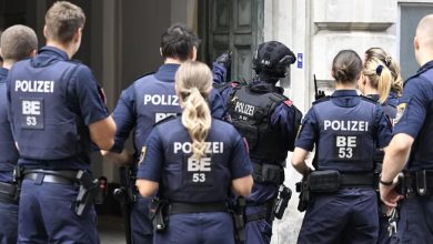 © APA/HARALD SCHNEIDER