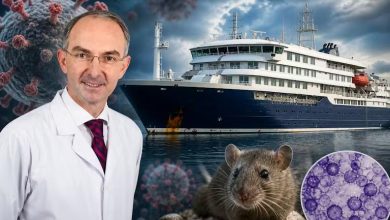Reuters, Kepler Klinikum/Montage KI-unterstützt