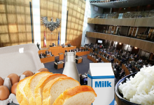 Austria now news + canva