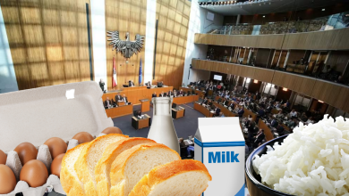 Austria now news + canva