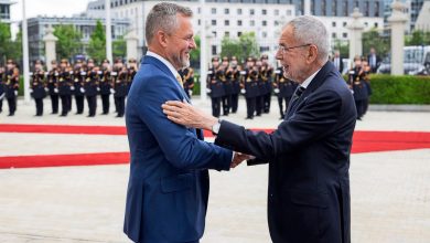 APA/BUNDESHEER/PETER LECHNER