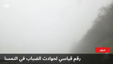 طريق يغطيه الضباب مع عبارة: رقم قياسي لحوادث الضباب في النمسا
