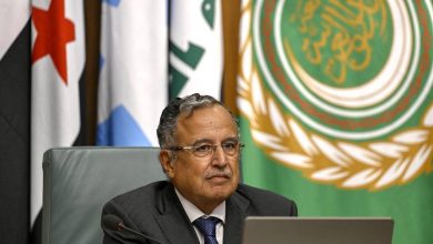 AFP/Khaled Desouki